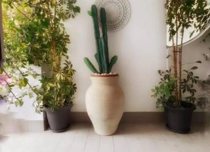 Apartamento Coral Mondello